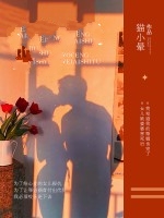 何晴陈望小说《婚姻这座城》在线阅读