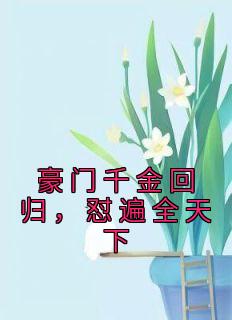 叶空叶宅全集小说_豪门千金回归，怼遍全天下完结版阅读