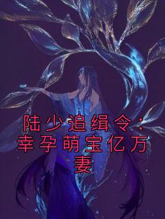 值得熬夜看完的陆少追缉令：幸孕萌宝亿万妻小说阅读