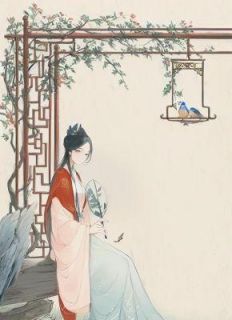 诉清歌知乎后续免费试读