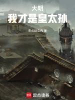 来点猪头肉写的小说穿越明朝年仅13岁的皇三孙殿下在线阅读