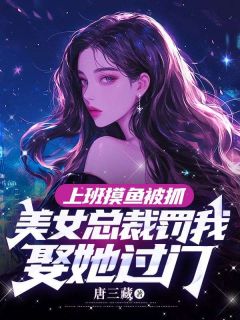 《上班摸鱼被抓，美女总裁罚我娶她过门》秦枫姜楠无广告在线阅读
