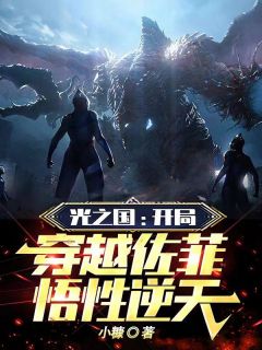 光之国：开局穿越佐菲，悟性逆天小说-佐菲雷欧全篇阅读