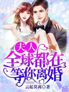 抖音小说《夫人，全球都在等你离婚》主角白锦瑟墨肆年全文小说免费阅读