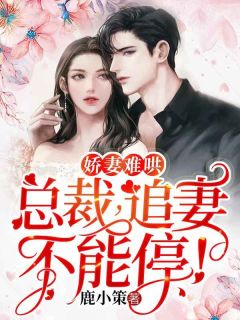 《娇妻难哄：总裁，追妻不能停！》by鹿小策(南颂喻晋文)未删节免费阅读