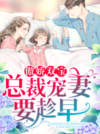 龙凤双宝：厉少的寻妻之路免费小说作者初颜全文阅读