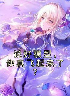 热门小说《说好模型，你真飞起来了？》完整版全文阅读