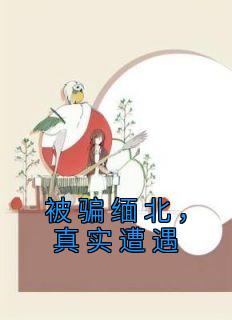 主角霞姐波哥小说完整版最新章节-被骗缅北，真实遭遇免费阅读全文