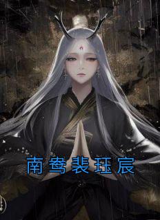 抖音南鸯裴珏宸txt小说阅读