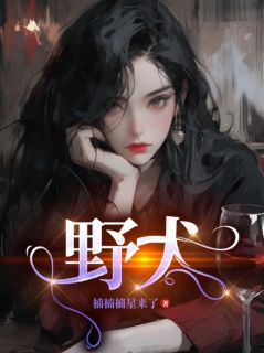 《野犬》(楠楠楠星来了小说)小说最新章节