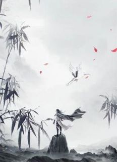 叶无缺慕容冰兰小说章节目录阅读-寂灭十年叶无缺在哪免费看