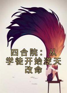 何雨柱何雨水是哪部小说的主角 何雨柱何雨水全文阅读