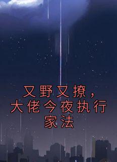 [抖音]小说叶初初陆砚屿又野又撩，大佬今夜执行家法