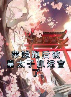 热文带球跑后被皇太子抓进宫了小说-主角苏芸谢之衍全文在线阅读