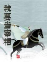 我要当宰相抖音全本小说夏之白朱元璋抖音免费章节阅读