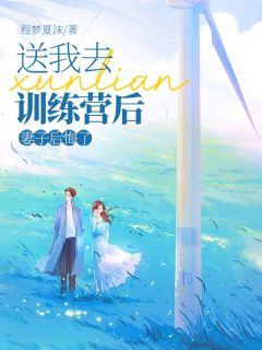 抖音爆款《送我去训练营后，妻子后悔了》洛言陆凛顾晚晚无广告阅读