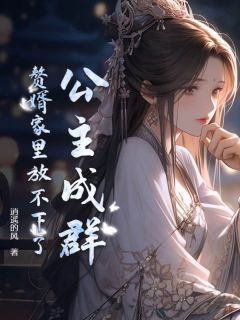 《公主成群，赘婿家里放不下了》凌云剑心全章节在线阅读