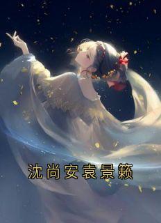 《沈尚安袁景籁》by沈尚安小说完结版在线阅读