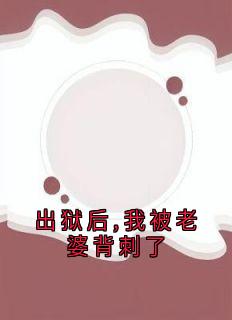 高质量小说出狱后,我被老婆背刺了在线试读