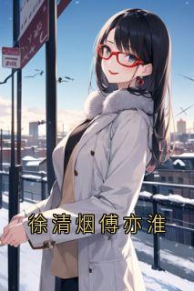 《徐清烟傅亦淮》徐清烟傅亦淮无广告在线阅读