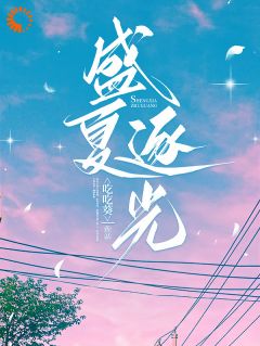 快手盛夏逐光小说全本章节大结局