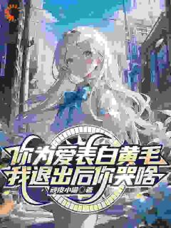 抖音你为爱表白黄毛，我退出后你哭啥txt小说阅读