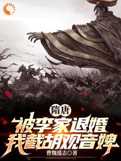 主角是杨傲李秀宁的隋唐：被李家退婚，我截胡观音婢抖音热门小说