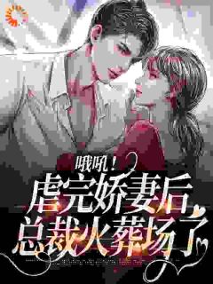 无广告小说哦吼！虐完娇妻后，总裁火葬场了-桑田薄肆在线阅读