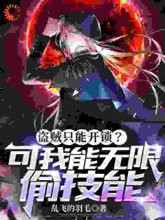 （全集-免费）盗贼只能开锁？可我能无限偷技能完本小说_风九元凤全文免费阅读