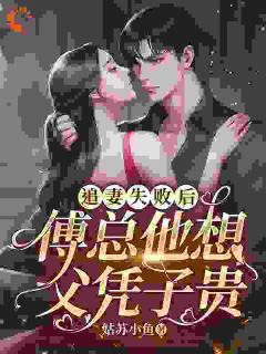 追妻失败后，傅总他想父凭子贵盛以安傅承烨免费阅读-追妻失败后，傅总他想父凭子贵姑苏小鱼小说