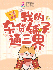 司颜夜兰息是哪部小说的主角 《一夜暴富，我的杂货铺子通三界》全文无弹窗