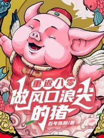 抖音爆款重返八零，做风口浪尖的猪小说免费阅读