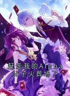 新书推荐《赶走我的Alpha父子火葬场了》完整版小说-沈泠枫赵霖最新章节阅读