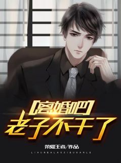 陈泽渊叶澜之全集小说_离婚吧，老子不干了完结版阅读