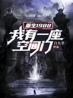 《重生1988：我有一座空间门》叶峰王春花全章节在线阅读